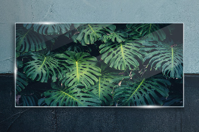 Üvegkép Trópusi zöld a Monstera levelekben
