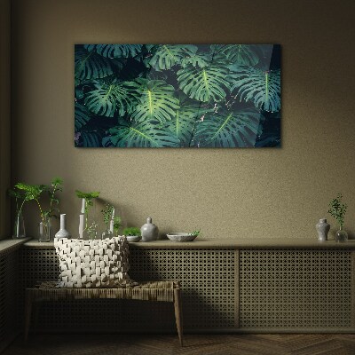 Üvegkép Trópusi zöld a Monstera levelekben
