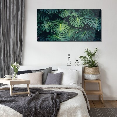 Üvegkép Trópusi zöld a Monstera levelekben