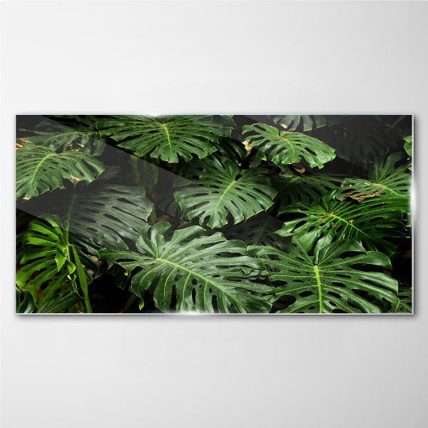 Üvegkép Trópusi Monstera levelek