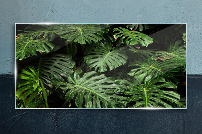Üvegkép Trópusi Monstera levelek
