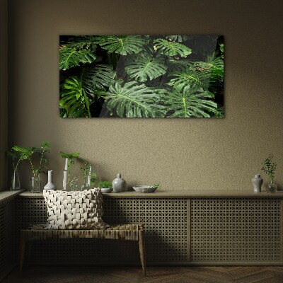 Üvegkép Trópusi Monstera levelek