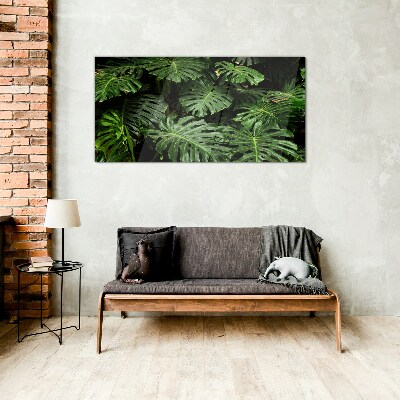 Üvegkép Trópusi Monstera levelek