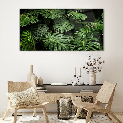 Üvegkép Trópusi Monstera levelek