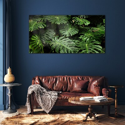 Üvegkép Trópusi Monstera levelek