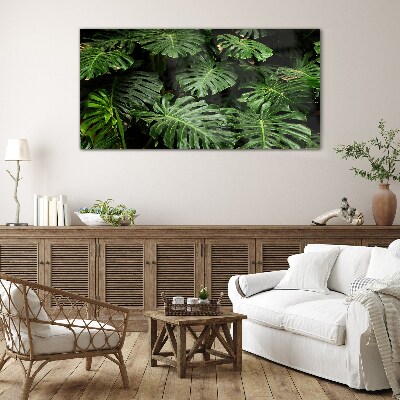 Üvegkép Trópusi Monstera levelek