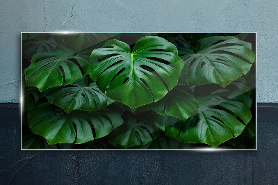 Üvegkép Modern növények
