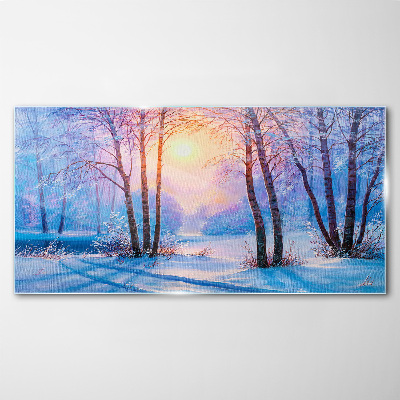 Üvegkép Téli erdő naplemente természete