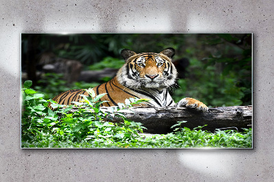 Üvegkép Tigris a zöld erdőben