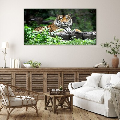 Üvegkép Erdei állat macska tigris
