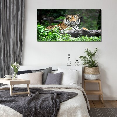 Üvegkép Tigris a zöld erdőben