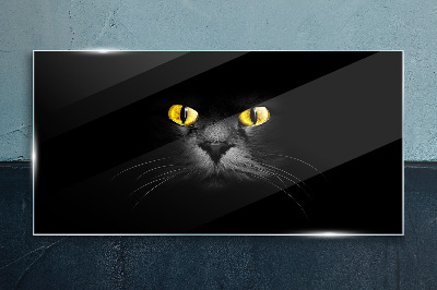 Üvegkép Állatok macska szemek