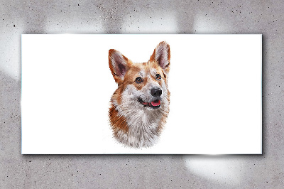 Üvegkép Egy vidám corgi kutya portréja