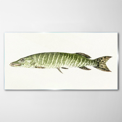 Üvegkép Muskie természetes élőhelyén