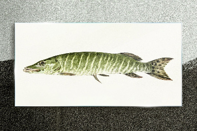 Üvegkép Muskie természetes élőhelyén