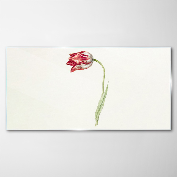 Üvegkép Tulipán finom árnyalatokban
