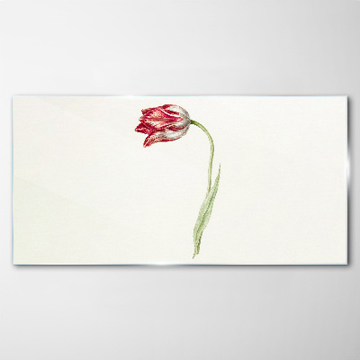 Üvegkép Tulipán finom árnyalatokban