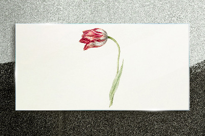 Üvegkép Tulipán finom árnyalatokban