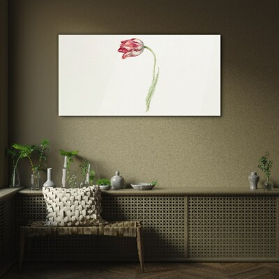 Üvegkép Tulipán finom árnyalatokban