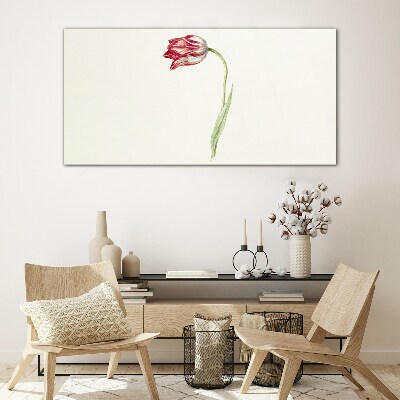 Üvegkép Tulipán finom árnyalatokban