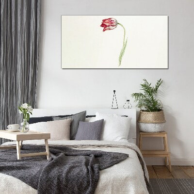 Üvegkép Tulipán finom árnyalatokban