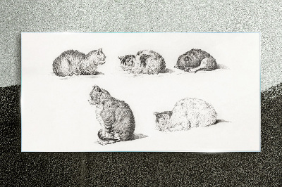 Üvegkép A macskaállatok rajza