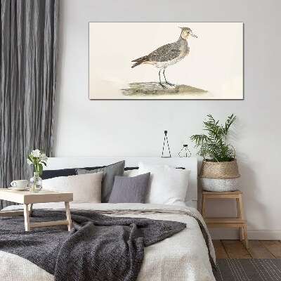 Üvegkép Elegáns madár a természet hátterében
