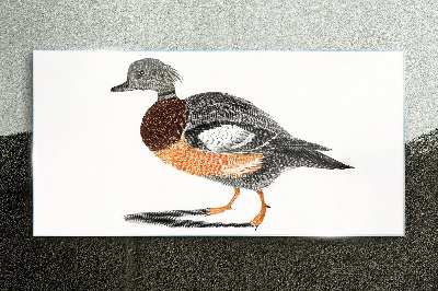 Üvegkép Kacsa grafikai stílusban