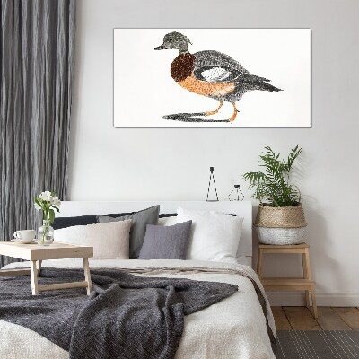 Üvegkép Kacsa grafikai stílusban