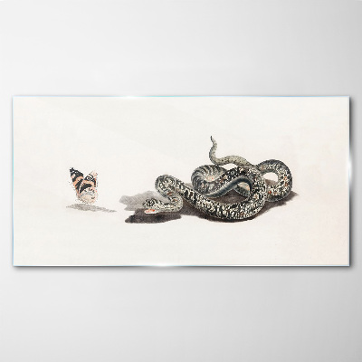 Üvegkép Rajz állat kígyó pillangó