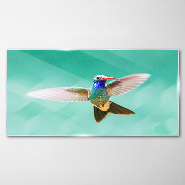 Üvegkép Kolibri kék háttérrel