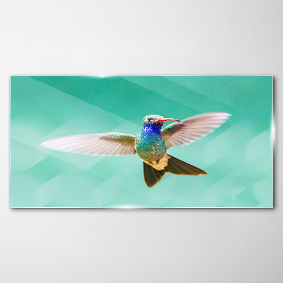 Üvegkép Kolibri kék háttérrel