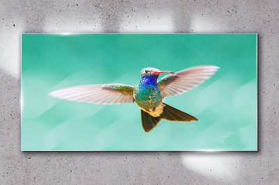 Üvegkép Kolibri kék háttérrel