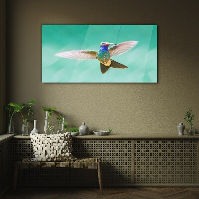 Üvegkép Kolibri kék háttérrel