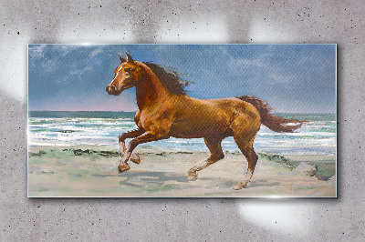 Üvegkép Beach Coast Horse Sea Waves