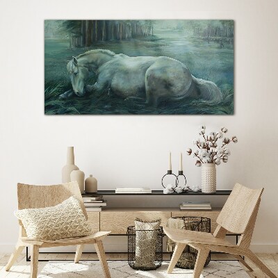 Üvegkép Erdei ló vadvilág