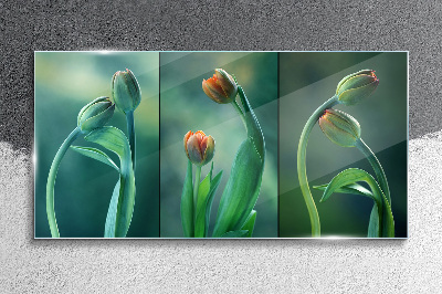 Üvegkép Tulipánok a zöld árnyalataiban