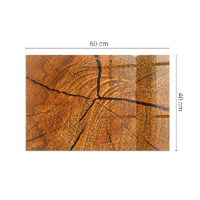 Kandalló alátét üveg Wood grain in cross-section