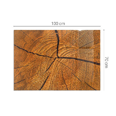 Kandalló alátét üveg Wood grain in cross-section