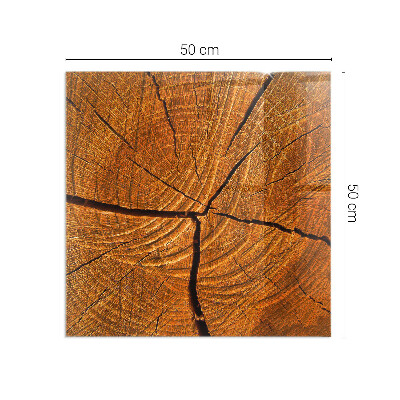 Kandalló alátét üveg Wood grain in cross-section