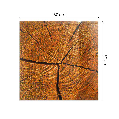 Kandalló alátét üveg Wood grain in cross-section