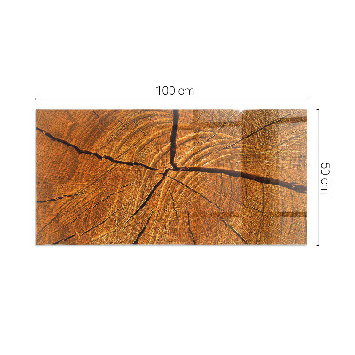 Kandalló alátét üveg Wood grain in cross-section