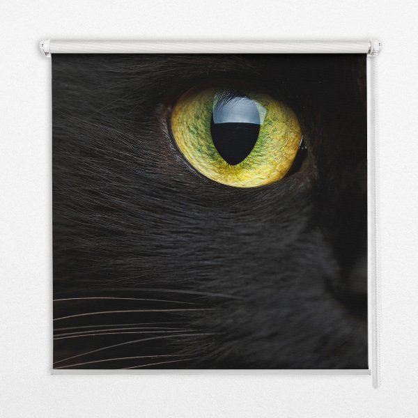 Ablak roló Macska szeme
