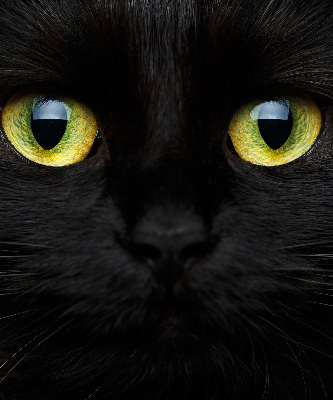 Ablak roló Macska szeme