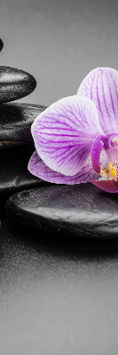 Sötétítő roló ablakra Orchidea a köveken