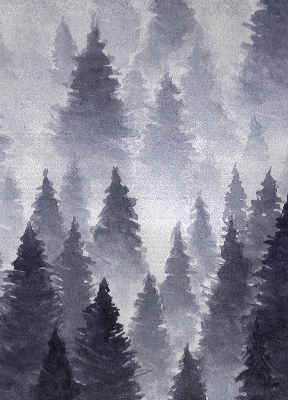 Roló ablakra Ködös erdő