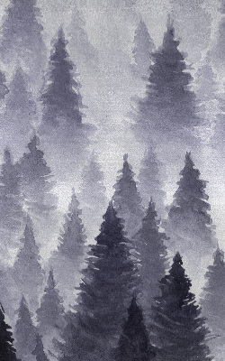 Roló ablakra Ködös erdő