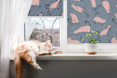 Sötétítő roló ablakra Rózsaszín macskák