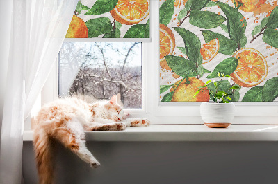 Roló ablakra Narancs és levelek
