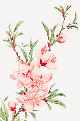 Fényzáró roló Rózsaszín virág